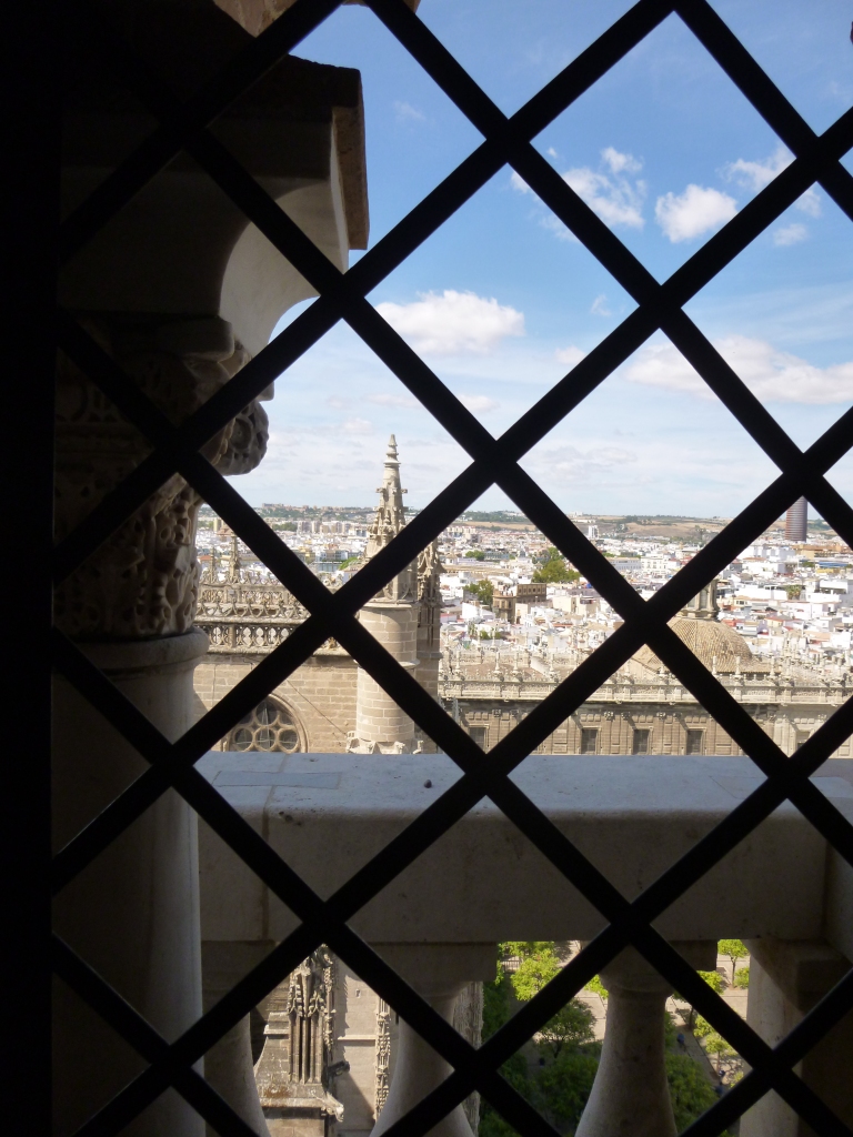 View onto the roof of the rest of the cathedral.  The view is through a metal lattice that looks like diamonds